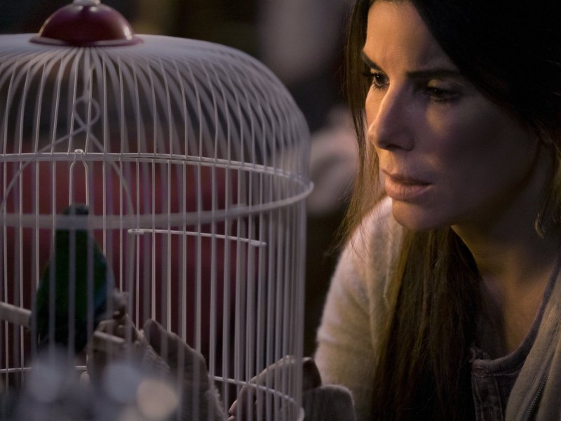 Sandra Bullock starrt in einen Vogelkäfig