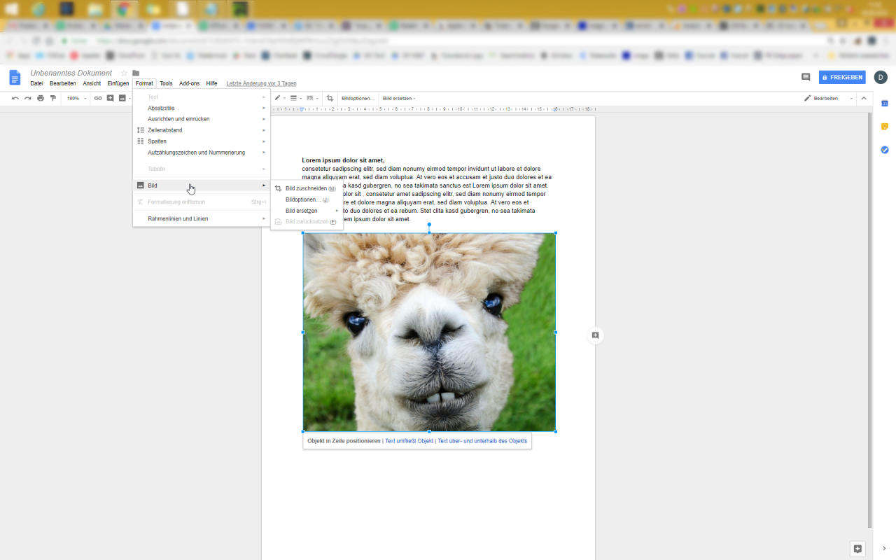 Bilder könnt ihr auch innerhalb von Google Docs direkt bearbeiten.