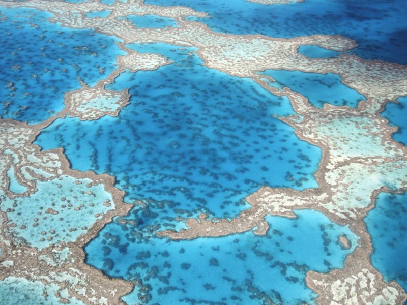 Great-Barrier-Reef