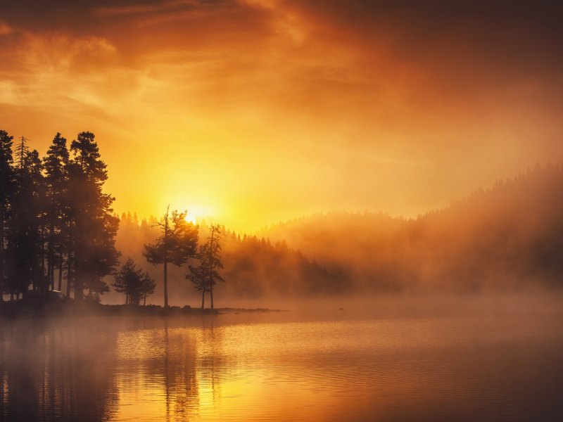 Ein Sonnenuntergang über einem Wald.