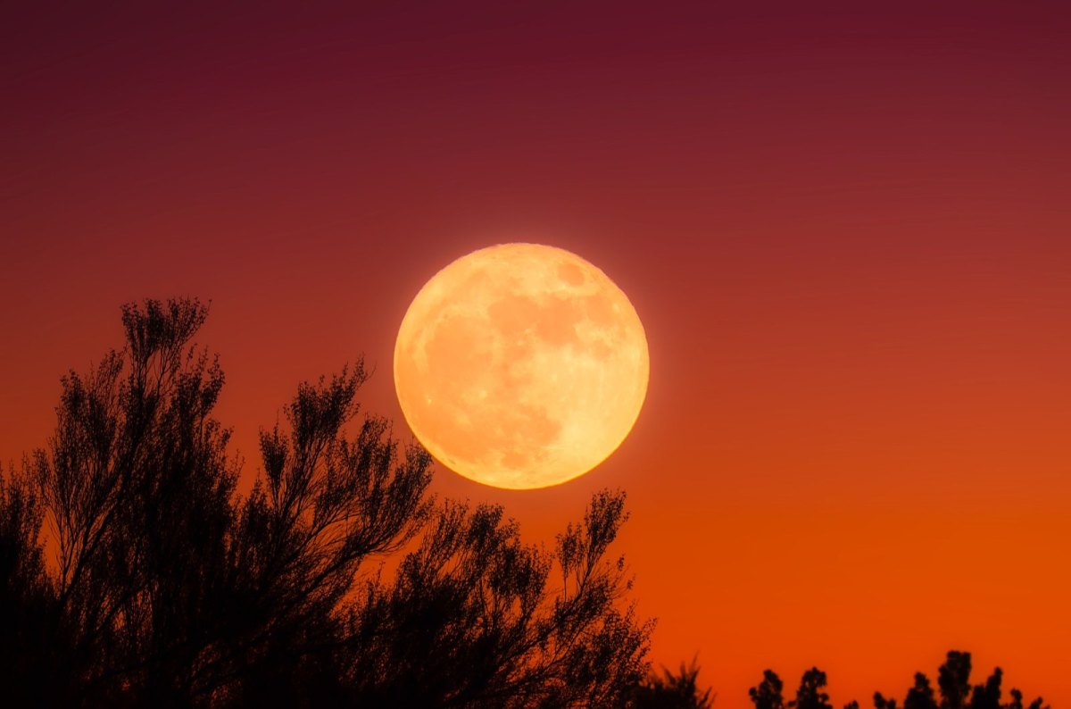 Ein Vollmond vor einem rötlichen Himmel