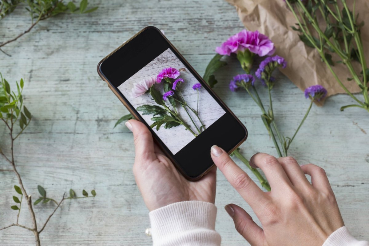 Blumen mit Handy aufgenommen