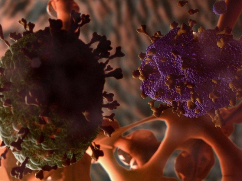 Coronavirus-Mutation.