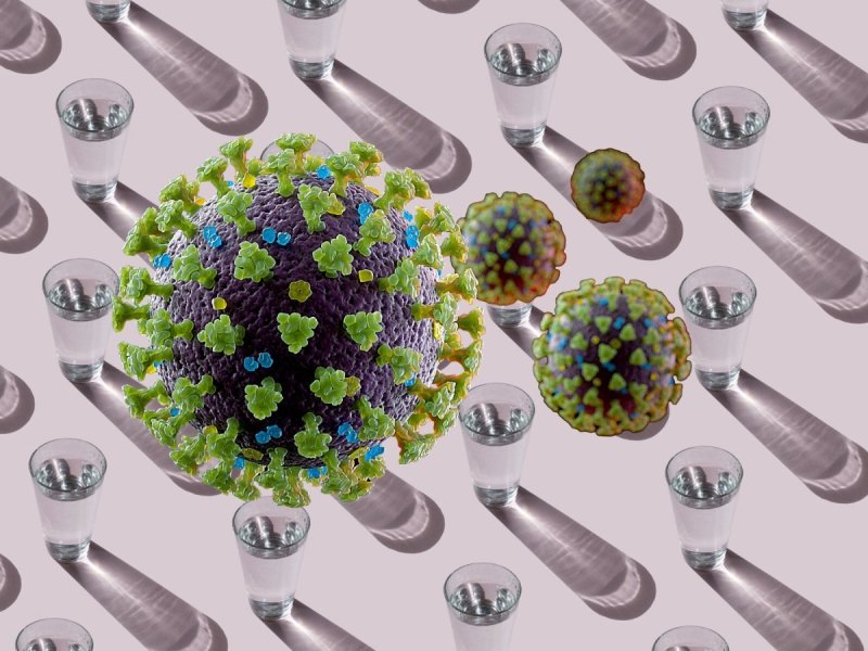 Coronavirus SARS-CoV-2