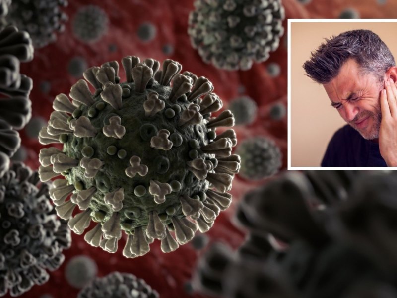 Coronavirus SARS-CoV-2
