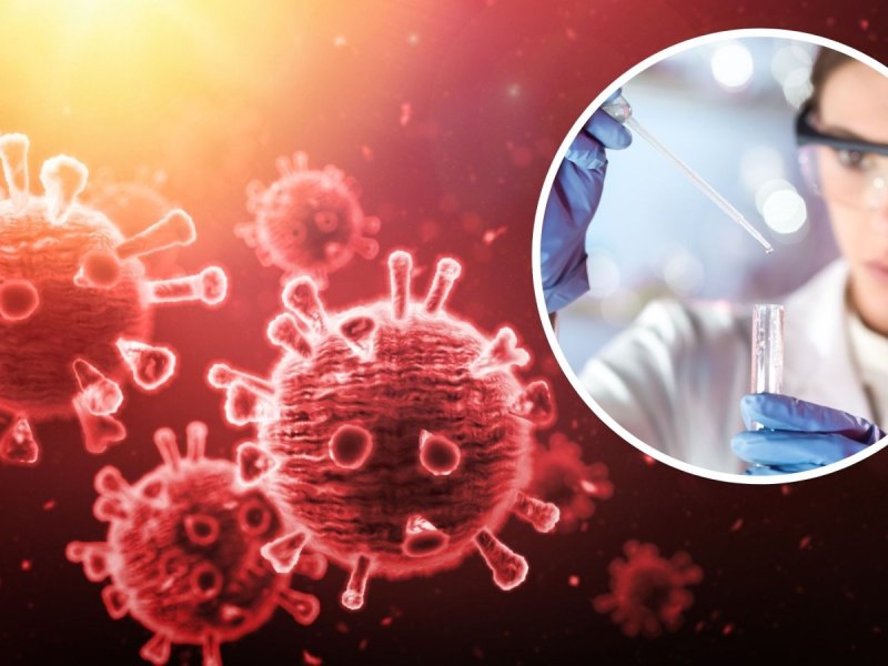 Coronaviruszellen und eine Wissenschaftlerin im Labor.