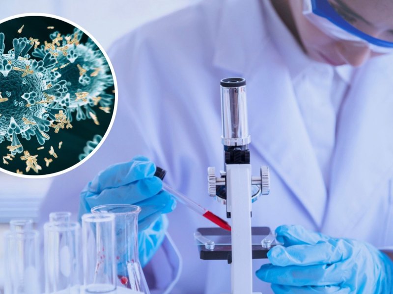 Coronavirus mit Antikörpern