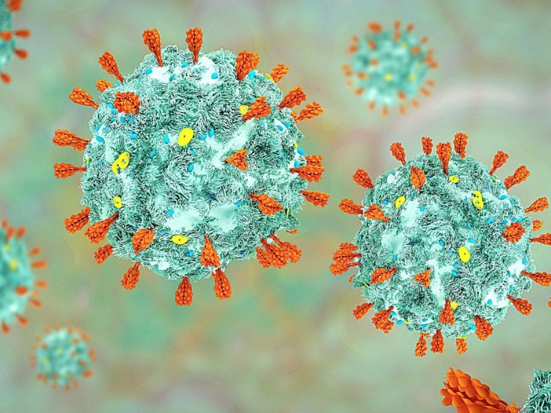 Das Coronavirus