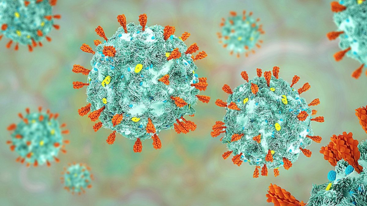 Das Coronavirus