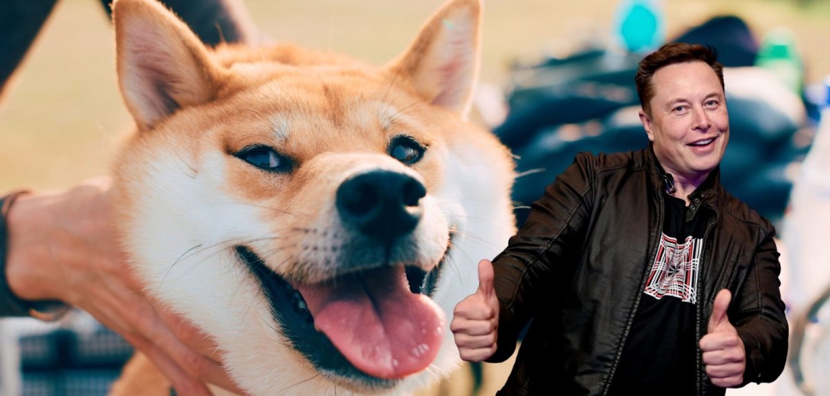 Elon Musk vor einem Shiba Inu