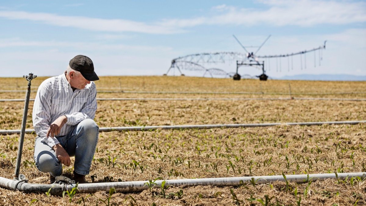 Ein Farmer auf dem Feld.