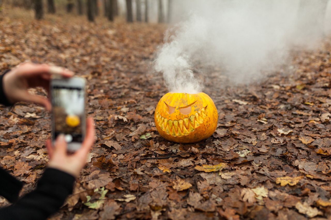 Ein cooles Motiv ist für ein gelungenes Herbstfoto wichtig – auch unsere Tipps machen einen besseren Handyfotografen aus dir. 