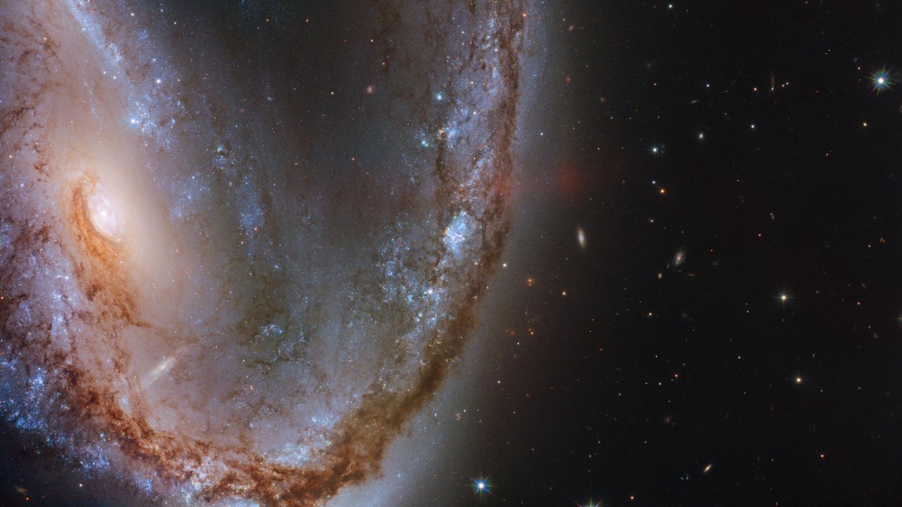 Die Galaxie NGC 2442 ist geformt wie ein Haken und verdient sich daher auch den Spitznahmen "Fleischhaken".