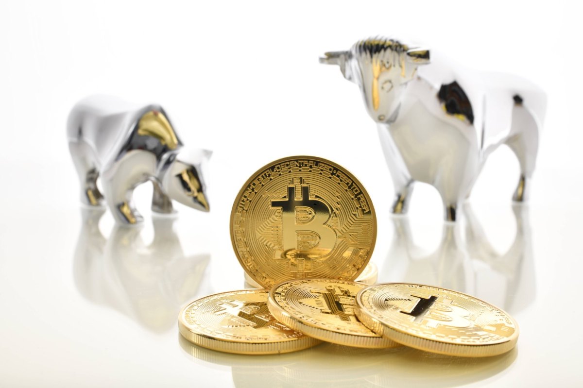 Bitcoin-Münzen neben einem Bären und einem Stier.