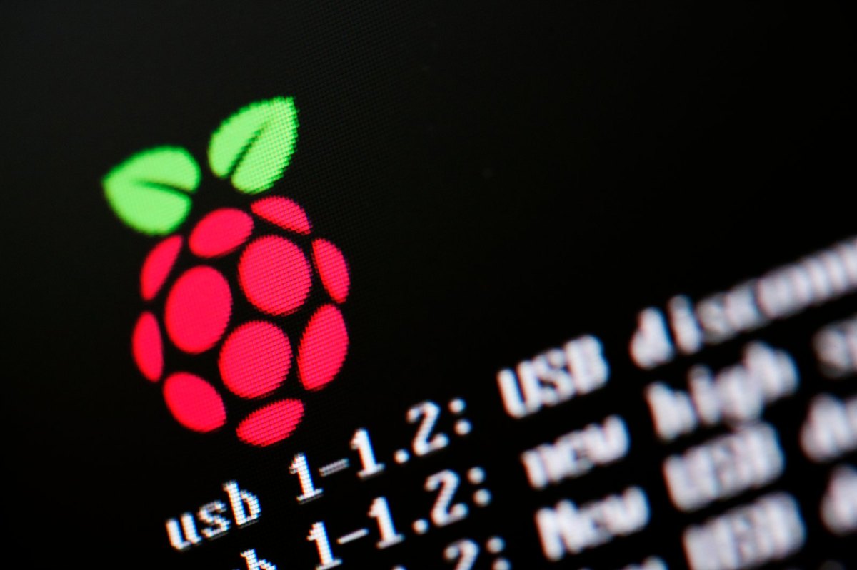 Raspberry Pi Logo