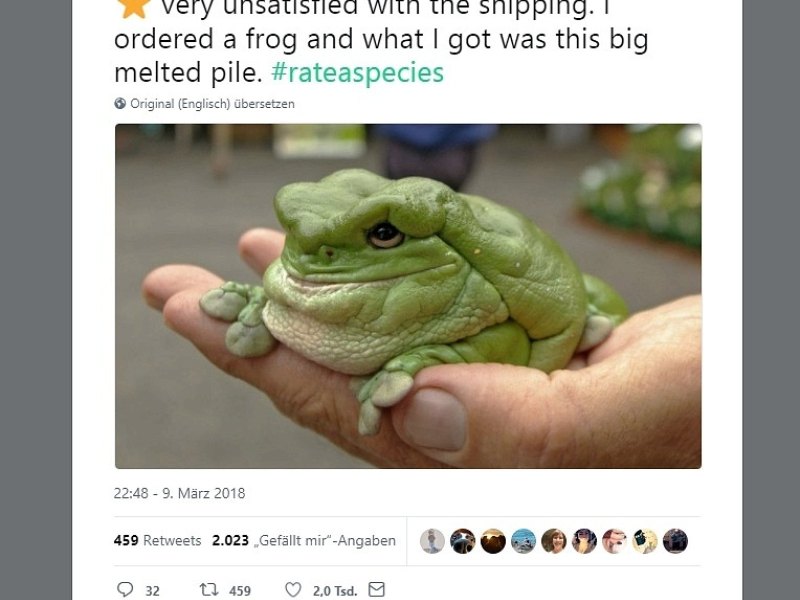 Eine Person hält einen Frosch in der Hand.