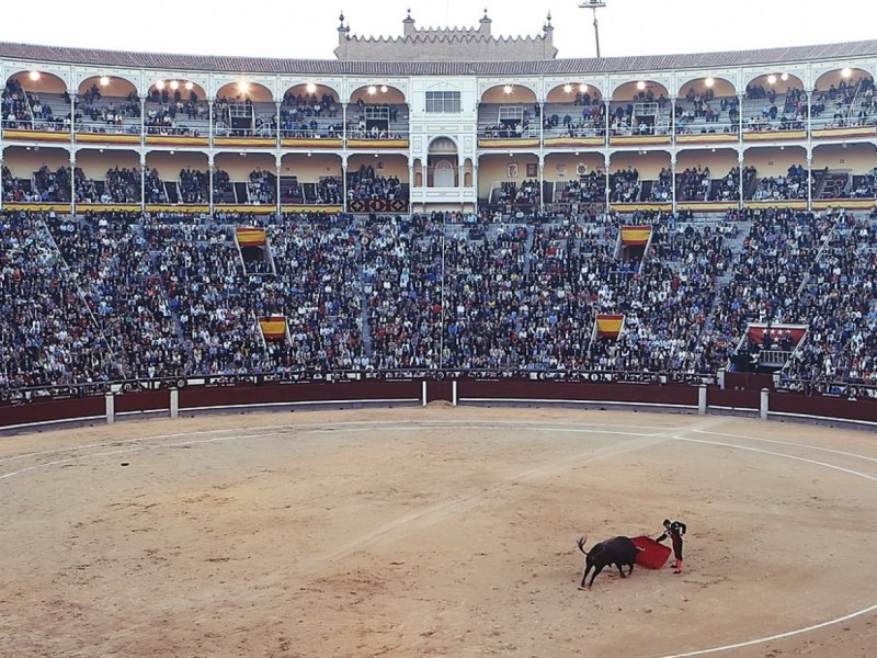 Eine Stierkampf-Arena. In der Mitte kämpfen ein Torero und ein Stier.