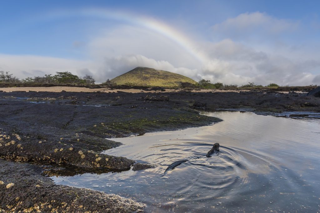 Strand Galápagos