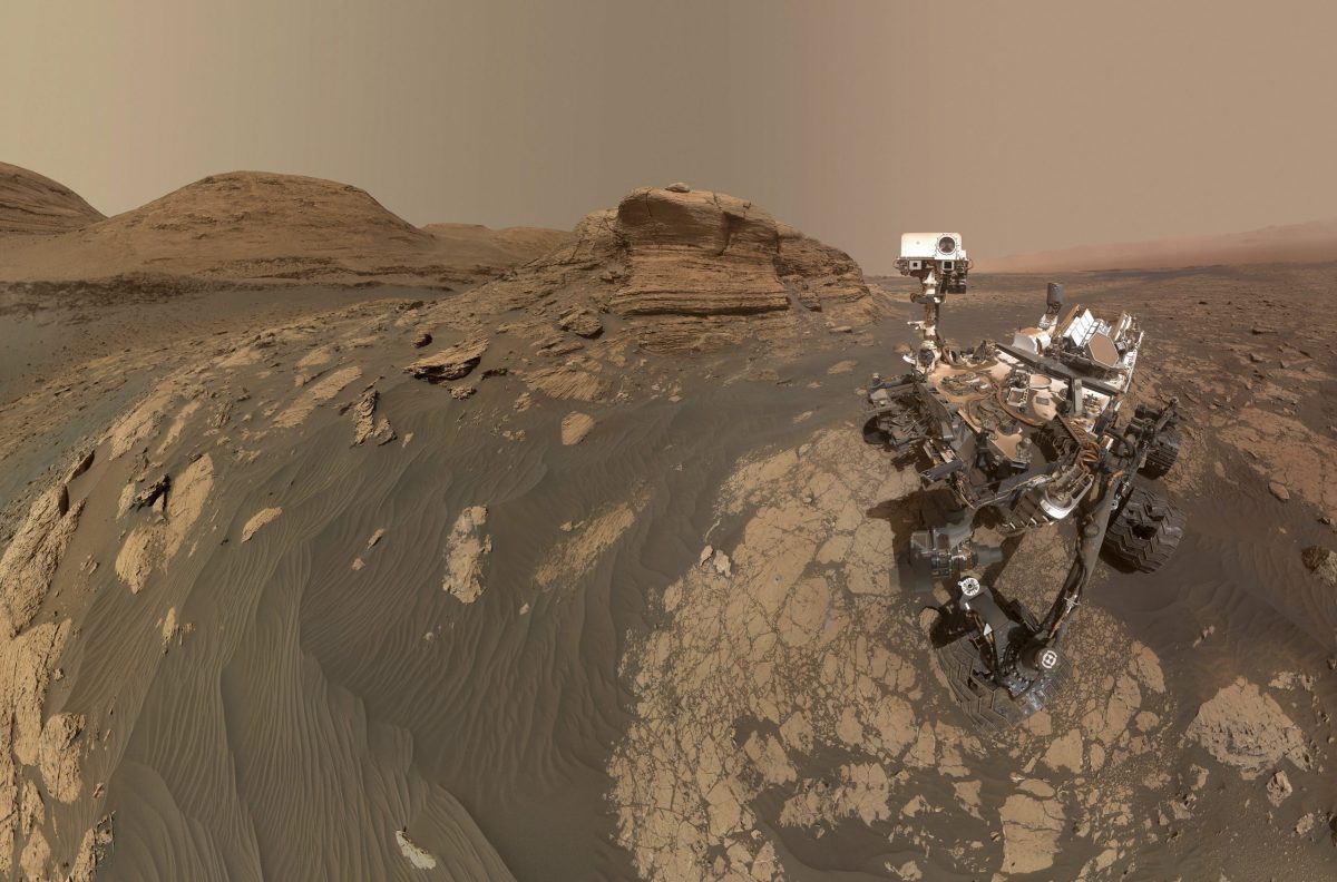 Selfie Marsrover