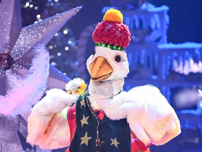 An der Weihnachtsgans war auch bei "The Masked Singer" kein Vorbeikommen.. © © ProSieben / Willi Weber