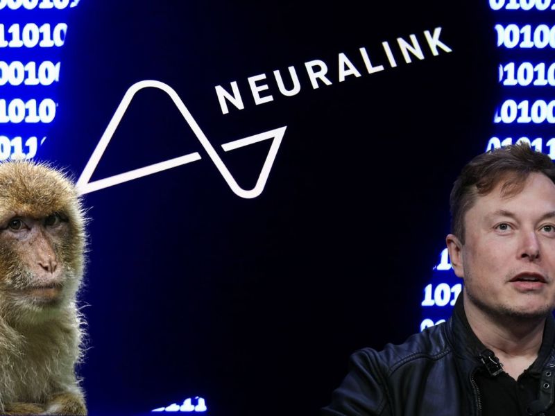 Neuralink-Logo, Elon Musk und ein Affe.