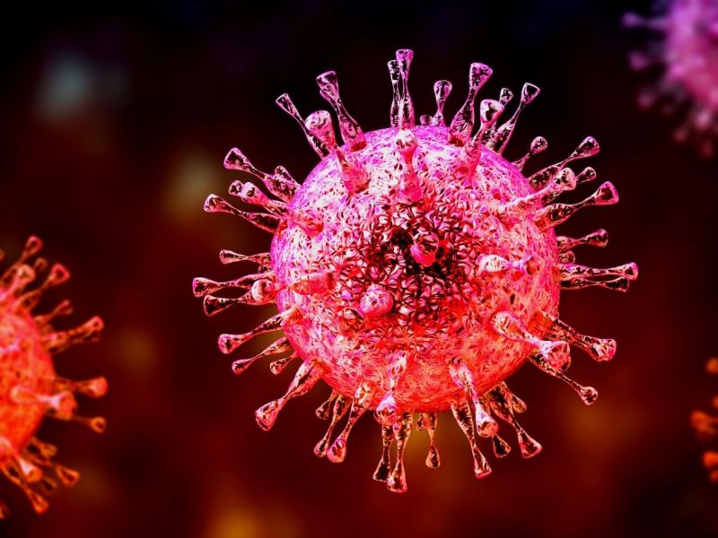 herpes-virus-studie