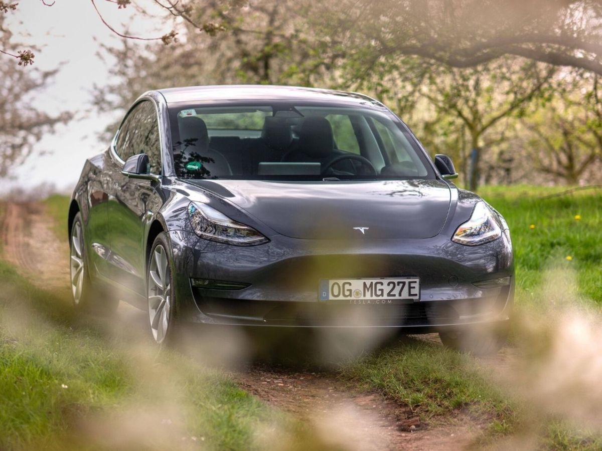 Ein Model 3 von Tesla im Wald.