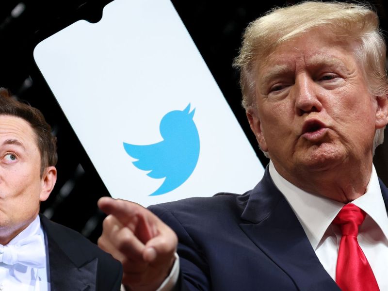 Elon Musk und Donald Trump vor einem Twitter-Logo