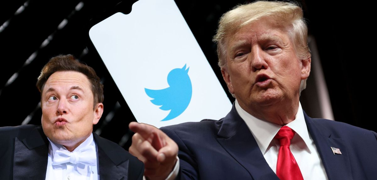 Elon Musk und Donald Trump vor einem Twitter-Logo