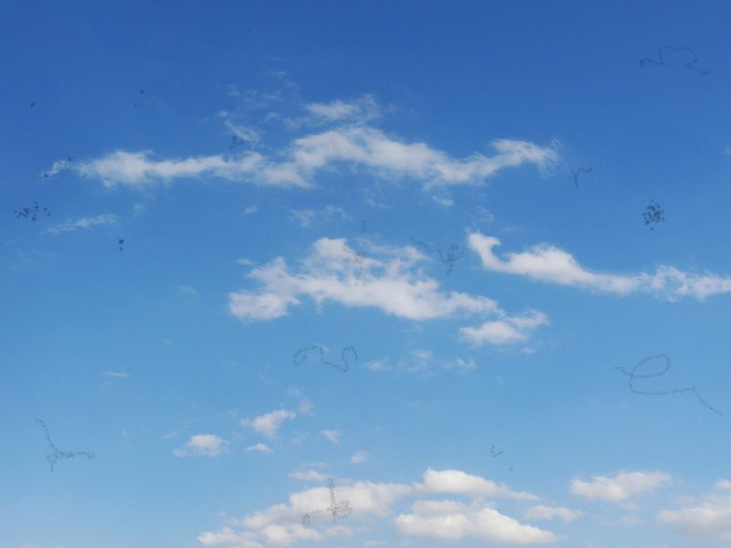 Blick auf den Himmel mit Glaskörpertrübung