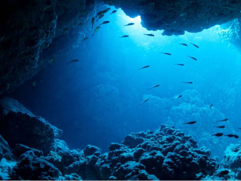 Eine UnterwasserhÃ¶hle im Ozean.