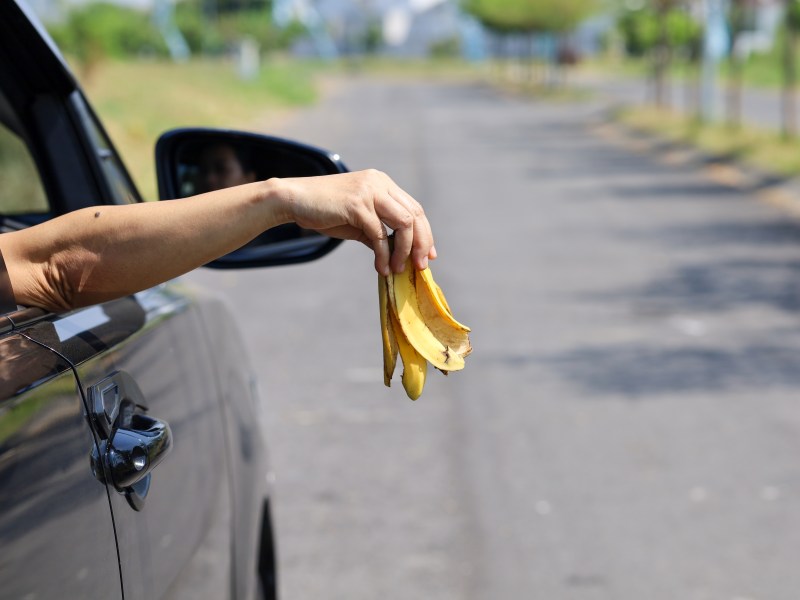 MÃ¼ll wird aus dem Auto geworfen