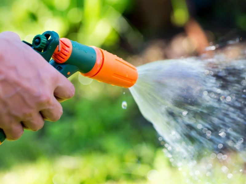 Person bewässert mit Wasserschlauch den Garten.