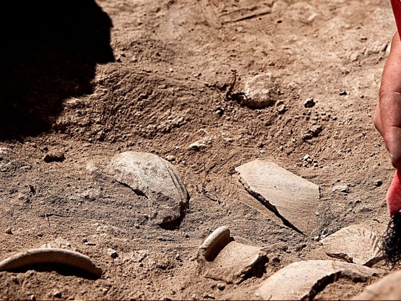 Foto von einer archÃ¤ologischen Ausgrabung.