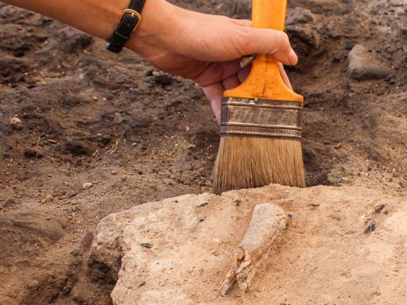 Person bei einer archÃ¤ologischen Ausgrabung.