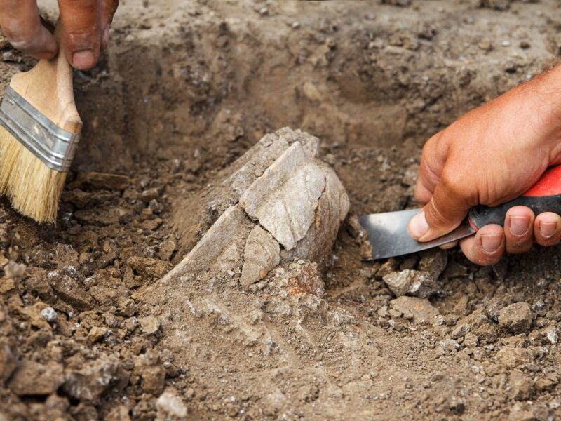 Eine archÃ¤ologische Ausgrabung mit Pinsel und Spachtel.