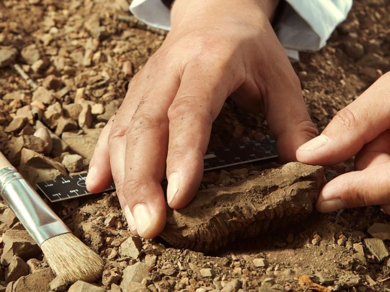 Person bei einer archÃ¤ologischen Ausgrabung.