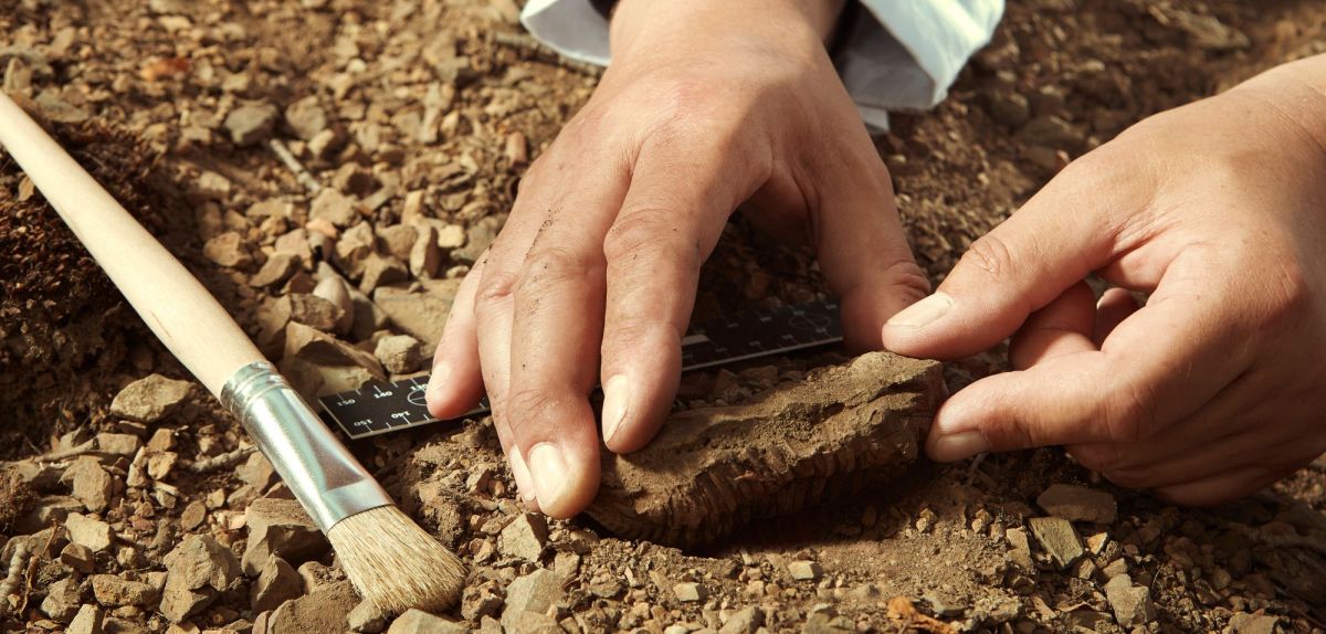 Person bei einer archÃ¤ologischen Ausgrabung.