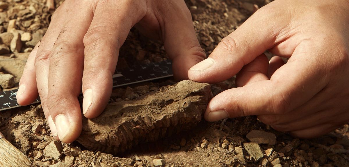 Aufnahme von einer archÃ¤ologischen Ausgrabung.