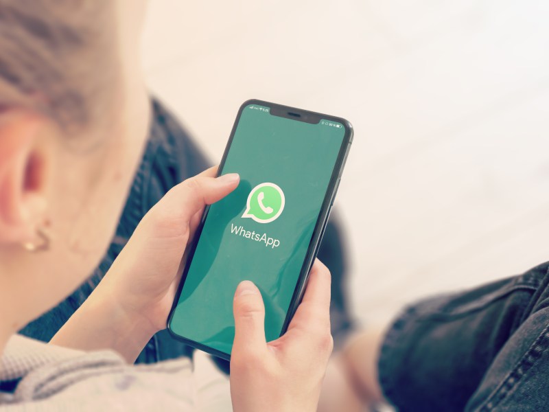 WhatsApp auf dem Handy