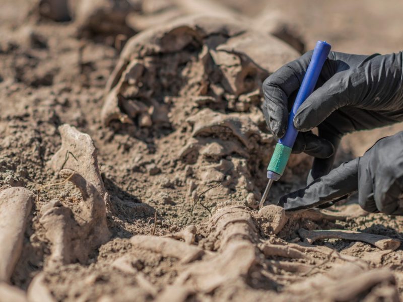 HÃ¤nde arbeiten mit Werkzeug an einem archÃ¤ologischen Fund.