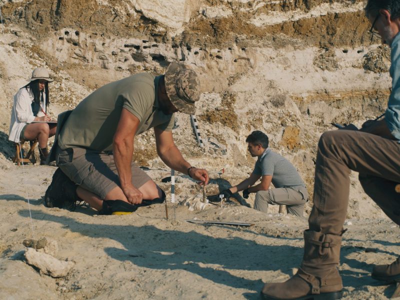 Forscher graben an einem archÃ¤ologischen Fund.