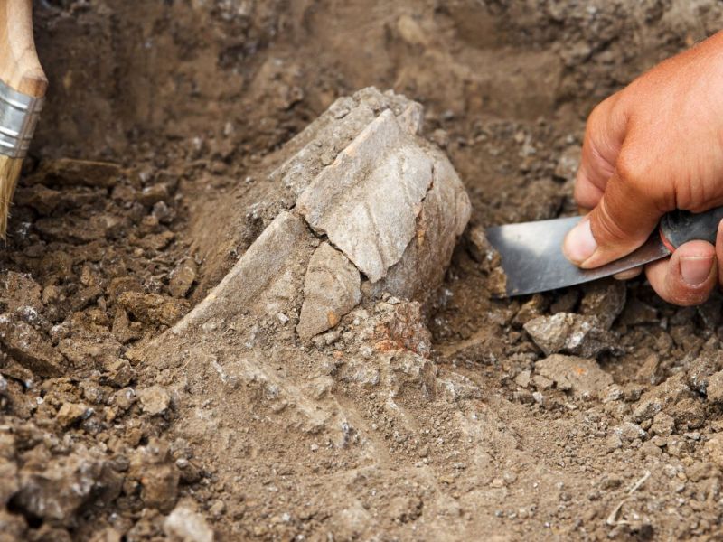 HÃ¤nde mit Werkzeugen graben an einem archÃ¤ologischen Fund.