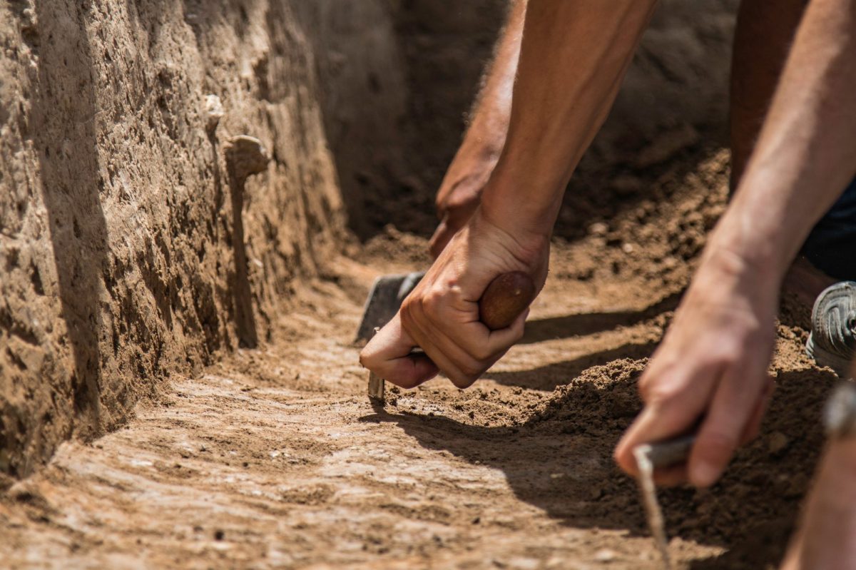 Mehrere HÃ¤nde mit Werkzeugen graben an einem archÃ¤ologischen Fund.