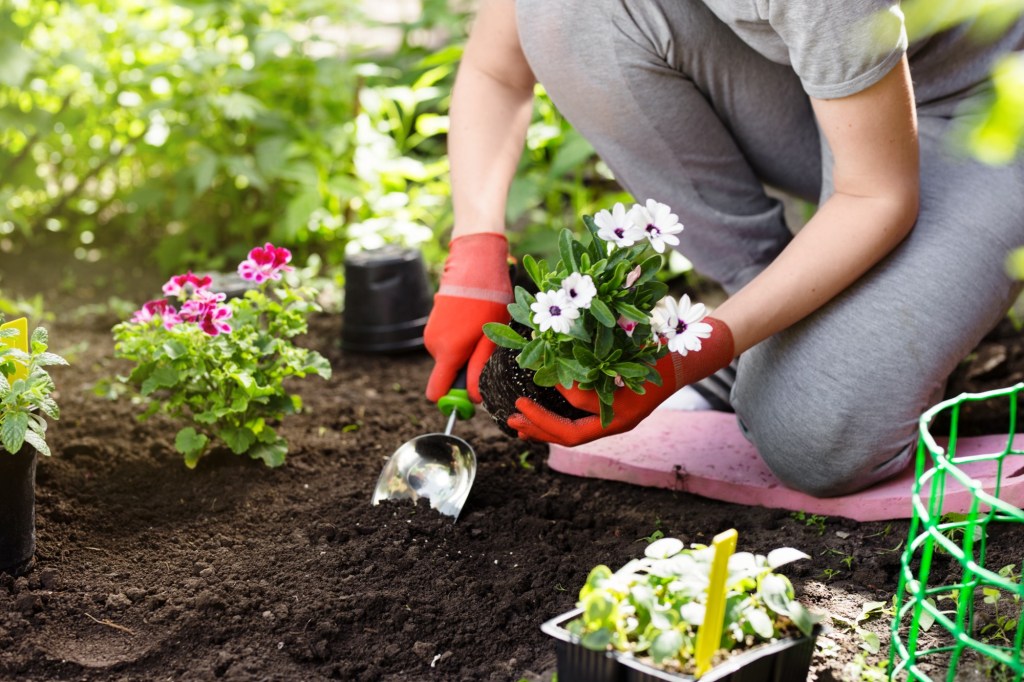 Gartenarbeit: Forscher raten zu überraschender Regel