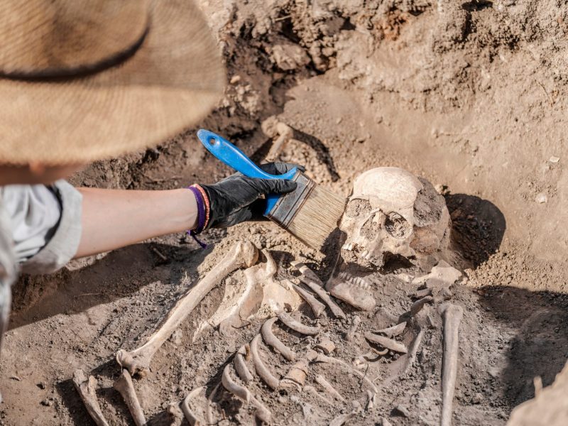 Eine Person entfernt Staub von einem TotenschÃ¤del wÃ¤hrend einer archÃ¤ologischen Ausgrabung.