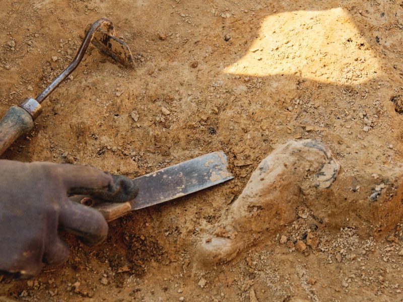 Eine Hand mit Werkzeug grÃ¤bt an einem archÃ¤ologischen Fund.