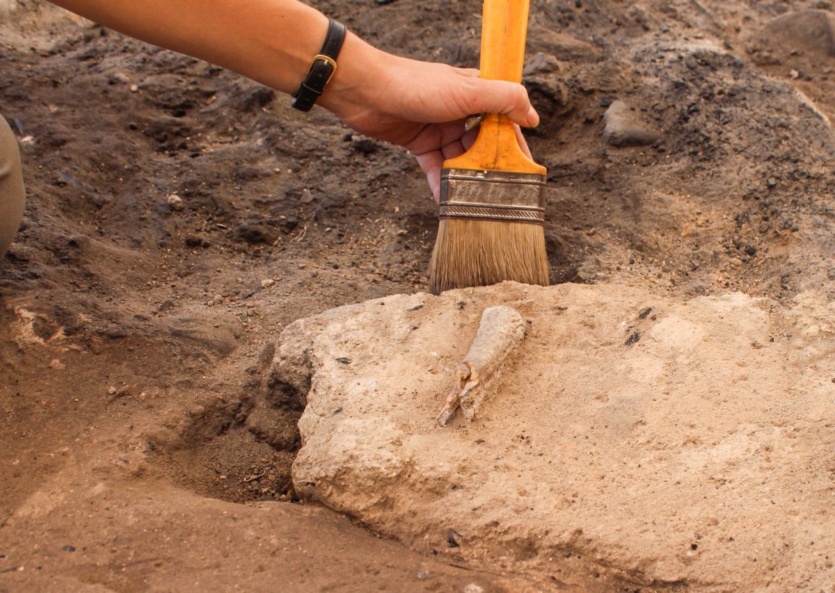 Person arbeitet mit Pinsel an einem archÃ¤ologischen Fund.