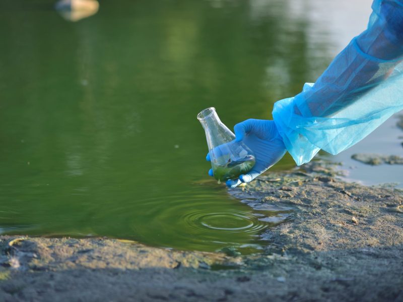 Eine Person mit einem blauen Handschuh entnimmt eine Probe aus grÃ¼nem Wasser.