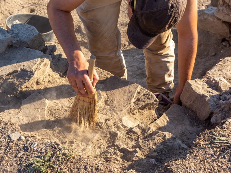 Mann grÃ¤bt an einem archÃ¤ologischen Fund.